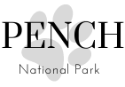 pench tiger safari booking